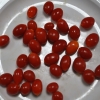Lycium barbarum 'Big Berry' - Goji-Beere - Lycium barbarum 'Big Berry'