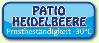 Patio Heidelbeere